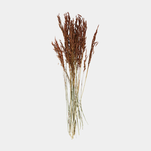 Trockenblumen