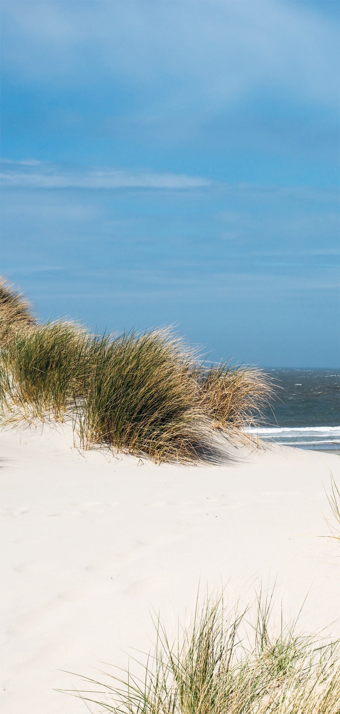 Duschrückwand Set NORDSEE Links/Rechts in 2 verschiedenen Größen