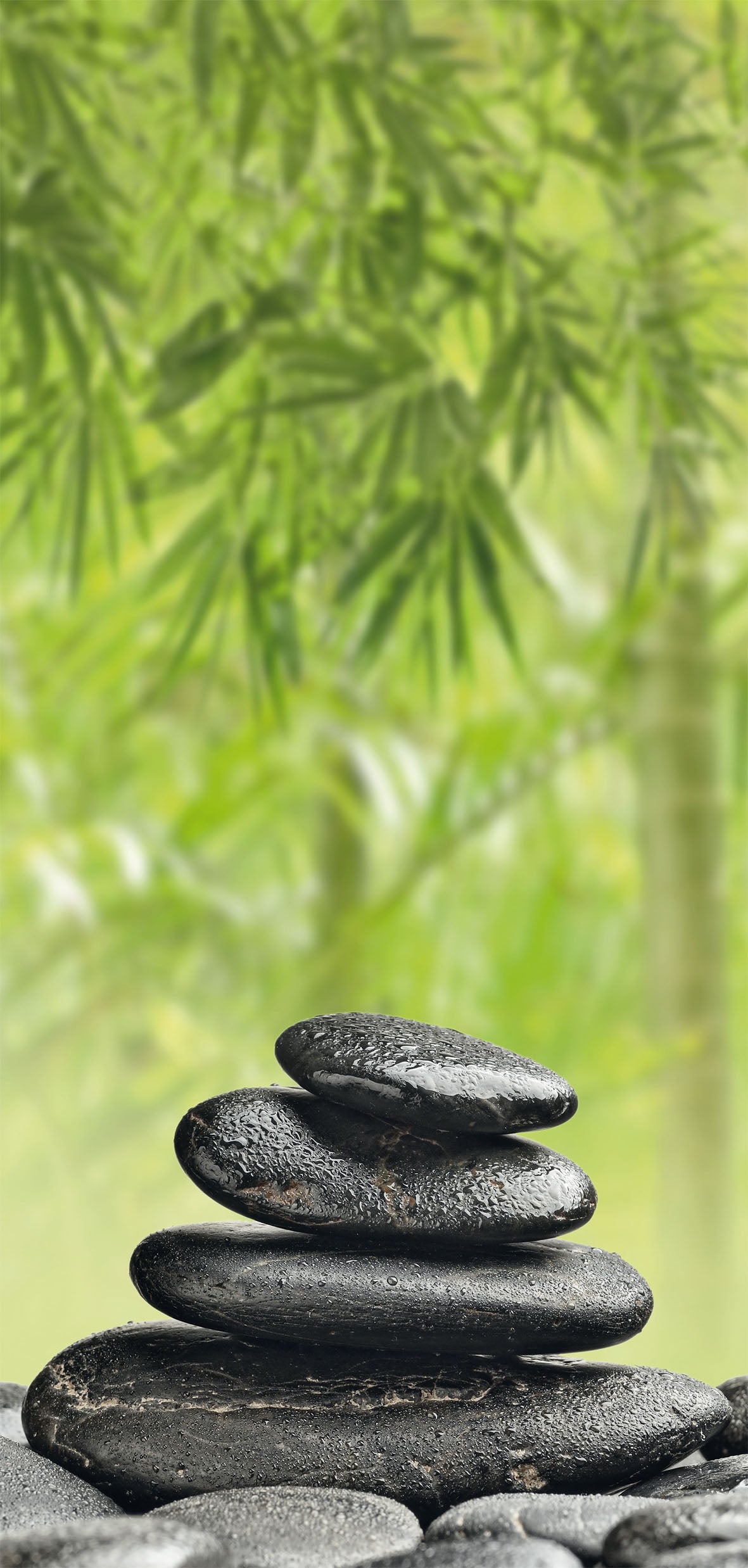 Duschrückwand Set WELLNESS Links/Rechts in 2 verschiedenen Größen