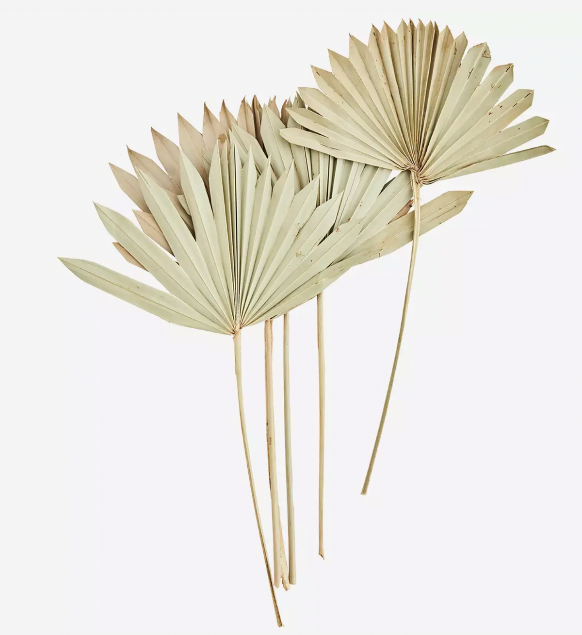 Palm leaf bouquet