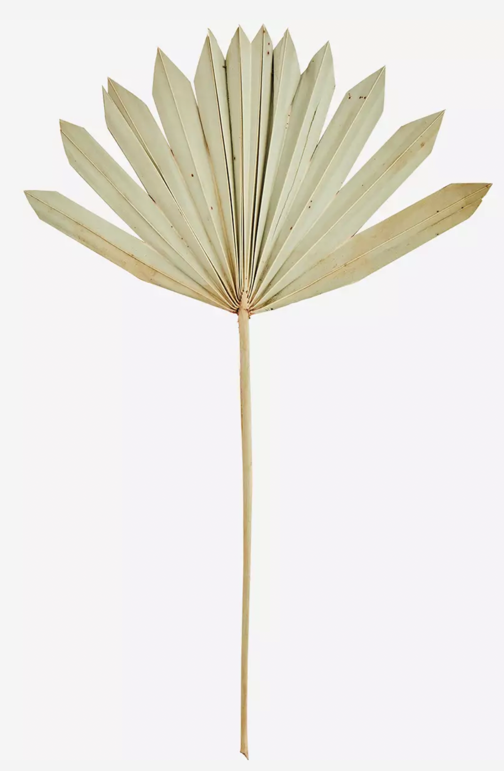 Palm leaf bouquet